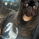 오조록 | 안녕하세요 안녕ㅎㅣ계세요