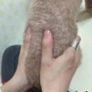 다인동물병원 이미지