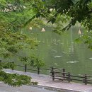 전남즐길거리, 이렇게 많았어? 놓치면 손해인 남도 여행 포인트!