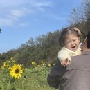 채은목장 이미지