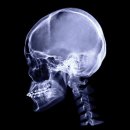 판교 예스의원 이미지