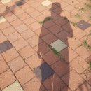 고운동_당암육교 이미지