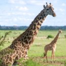 수도카써비스 이미지