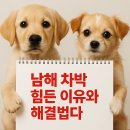 주정차단속안내판(스마트CCTV감지기)-주차-022 | 바다 뷰는 좋은데… 남해 차박 힘든 이유와 해결법