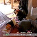 아싸리 네이버블로그