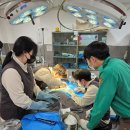 벳랜드 | [데일리벳 학생기자단 프로젝트 어드벳(vet)쳐] 에버랜드 동물원 수의사의 하루