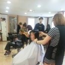 대성미용