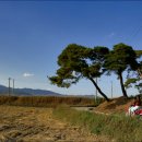 주생면 상동마을 이미지