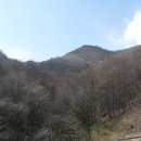 대야농장 이미지