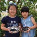 왕미초등학교 이미지