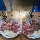참고기 이미지