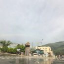 구절리역 | 강원도 정선 레일바이크 찐후기: 숲속을 가르는 짜릿함! 예약부터 소요시간, 꿀팁까지!