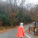 도립공원 사무소 ~ 대흥사매표소앞 네이버블로그