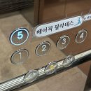 필라테스 | 천안 청당동 필라테스 [베이직 필라테스] 소그룹 필라테스 수강 후기