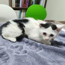 비산염색공단로 이미지