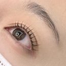 터치;브로우
