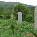 죽음도 갈라놓지 못한 사랑 이미지