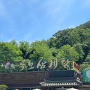 국보삼계탕 이미지