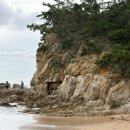 GR(태안군)-[중앙로]-하-6 | 태안 1박 2일 주말 여행 다녀옴! 동선 추천 (통나무집사람들, 카페 텅, 태안 어라이브 한옥 호텔, HMG...