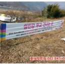 부교농장 네이버블로그