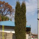 학곡2리 이미지