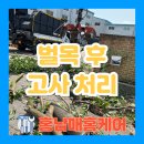 전봇대 옆 | 전봇대 옆 나무 벌목 임목폐기물 수거 처리