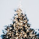 가장경로당 Daum카페