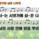 시냇가에심은나무 이미지