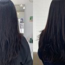 살롱드비니크