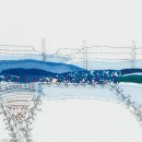 바늘과실 이미지