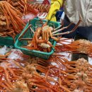 후포홍게대게직판장 | 포항 죽도시장 대게 맛집 수협 직판장에서 직접 고른 대게, 홍게 먹고 온 후기