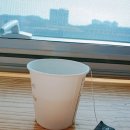 임종범이비인후과의원 이미지