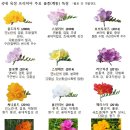 마음과향기한의원 이미지