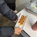 섬진강누룩꽃 | [여자 3명 여행] 울산-전주 2박3일 여행(1일차) | 전북대 누룩꽃피는날
