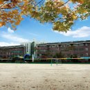 성천 초등학교 이미지