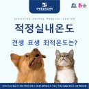 씽씽 동물의료센터 이미지
