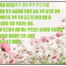 성실한유부 이미지