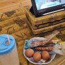 연산 해수피아 이미지