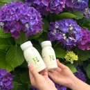 동광리-16 이미지