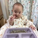 샛별보육원 | 10개월_ 이른둥이 자기주도 도전기