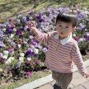 관기 풋살장공중화장실 | 구갈레스피아 생태공원 용인 아이랑 갈만한 곳