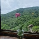 선류산장 티스토리