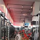 골드휘트니스 이미지