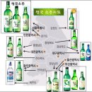 KBO 9구단 역대 성적 및 우승 횟수..& 전국 지역 소주의 광고모델들... 이미지