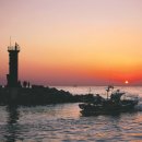 새동네목장 이미지