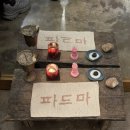 태평탕 | 제주 요가여행 필수코스 I 파드마제주
