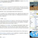 목도리까마귀 이미지