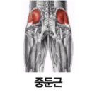 클램 이미지