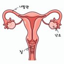 함춘여성의원 이미지