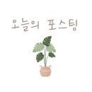 커피홀유성